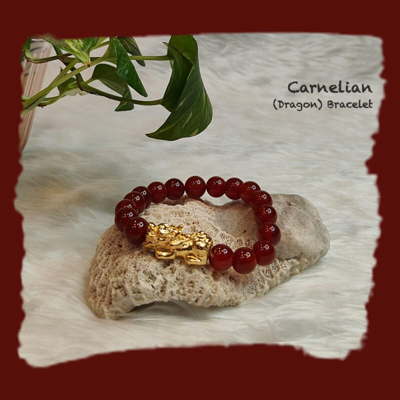 Pixiu Carnelian Bracelet
