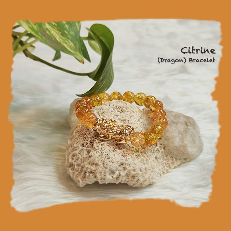Pixiu Citrine Bracelet